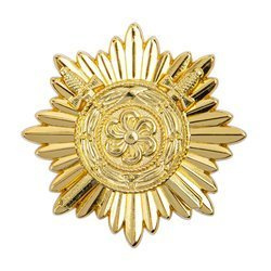 Ostvolk Medal First class, golden with swords