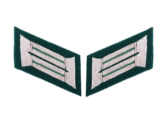 WH officer collar tabs - mountain troops