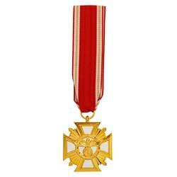 25 years NSDAP service cross - golden, repro