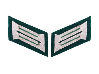 WH officer collar tabs - mountain troops