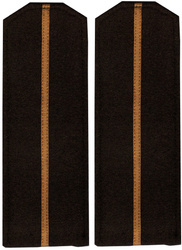 RIA shoulder boards for ober-officers - field type - repro