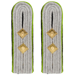SD Hauptsturmführer shoulder boards - repro