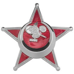Gallipolli Star - Harp Madalyası - repro