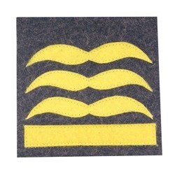 Luftwaffe camo rank - General der Luftwaffe - repro