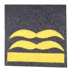Luftwaffe camo rank - Generalleutnant - repro