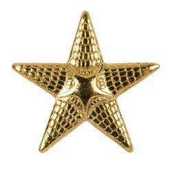 RKKA M1943 golden rank star for shoulder straps - 13 mm - repro