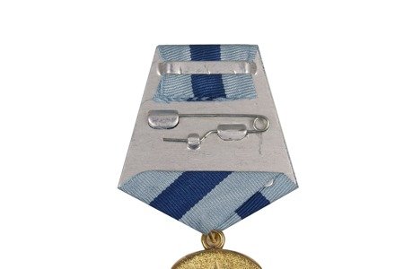 Medal "For capture of Vienna" - repro
