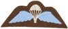 British paratroopers badge - wings - repro