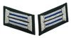 WH officer collar tabs - medical