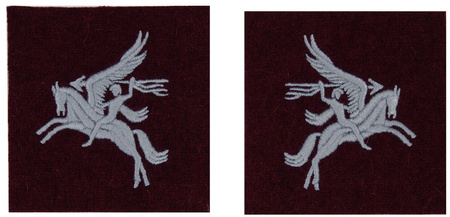 Pegasus sleeve patches - pair - repro