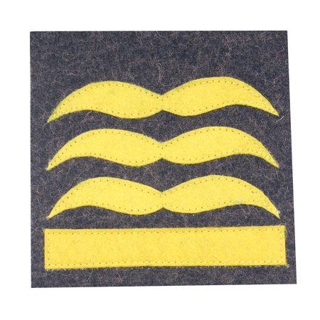 Stopień kamuflażowy Luftwaffe - General der Waffengattung