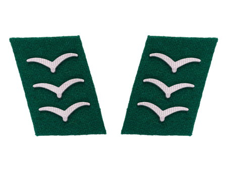 Luftwaffe collar tabs - field divisions,Obergefreiter - repro