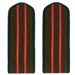 M1943 medical field shoulder boards - high officers - repro