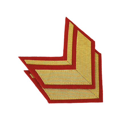 Obszycie RKKA major/podpułkownik wz. 40, para