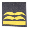Luftwaffe camo rank - Generalleutnant