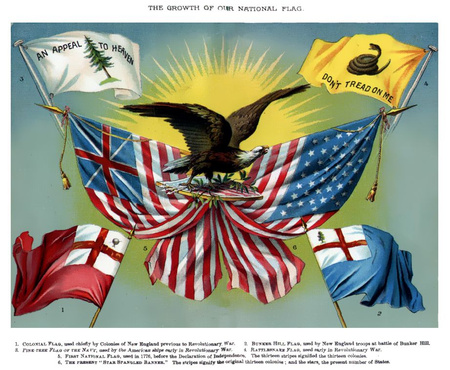 Gadsden flag, printed - repro