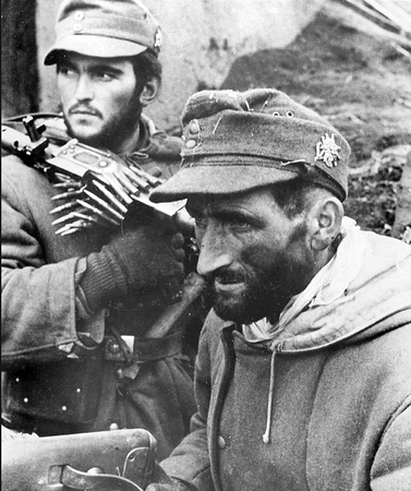 WH/SS Edelweiss - mountain troops badge - surplus