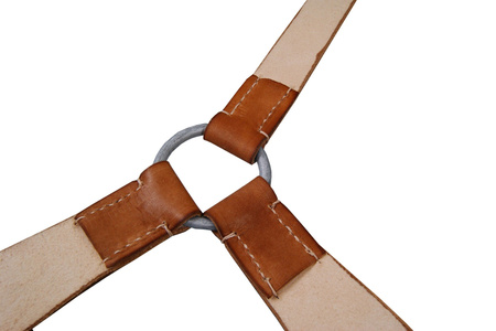 Polish Cavalry Y-straps - brown leather