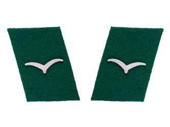 Luftwaffe collar tabs - field divisions, Flieger - repro