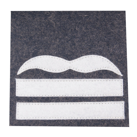 Stopień kamuflażowy Luftwaffe - Major