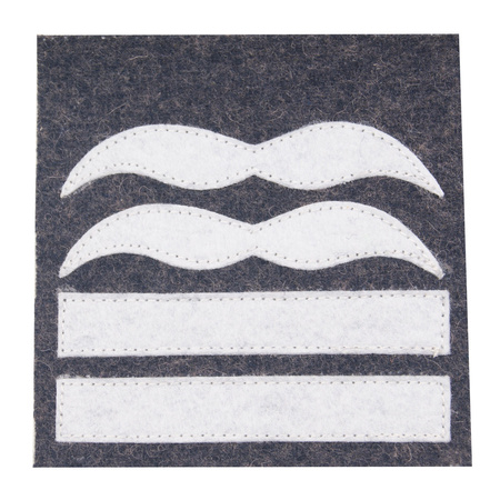 Luftwaffe camo rank - Oberstleutnant - repro