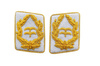 Luftwaffe general collar tabs - Generalleutnant