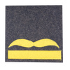 Luftwaffe camo rank - Generalmajor