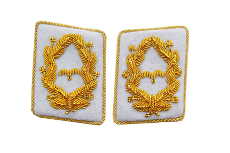 Luftwaffe general collar tabs - Generalmajor