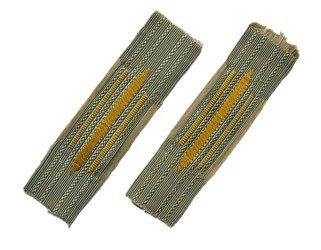 Patki kołnierzowe Kragenspiegel M38 - tropikalne - zielone tło