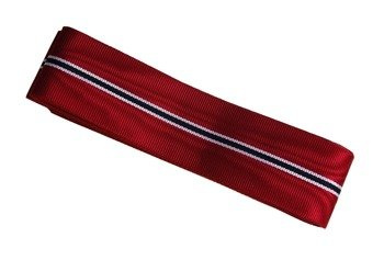 Wstążka medalu front wschodni - 20 cm