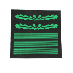 Naszywka stopnia SS Standartenfuhrer / WH Oberst BeVo