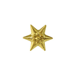 Gwiazdka do patek austro-węgierskich, złota