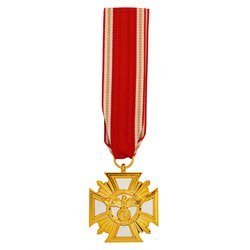  Krzyż za 25 lat służby NSDAP - złoty, replika