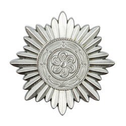 Medal Narodów Wschodnich - Ostvolk Medal 1 klasy, srebny